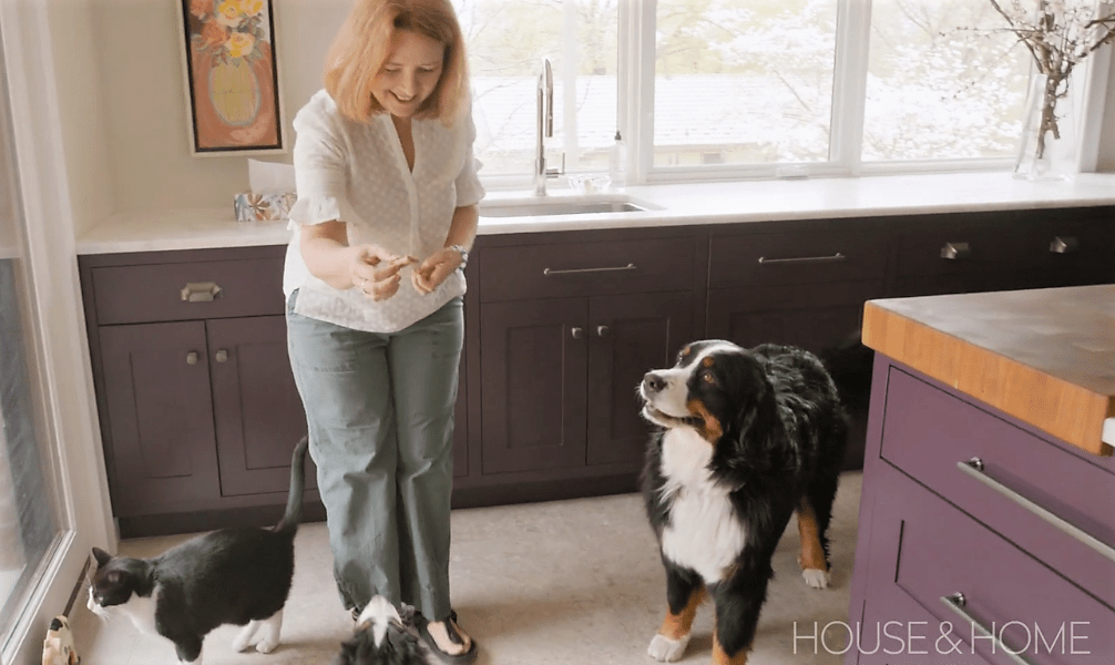 Our Client Allison giving her bernese mountain dog a treat beside her pet center cabinet in her kitchen